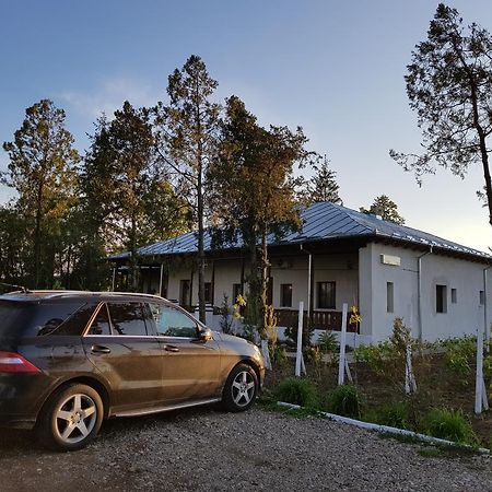 Hotel Conacul Balta Albă Exteriér fotografie