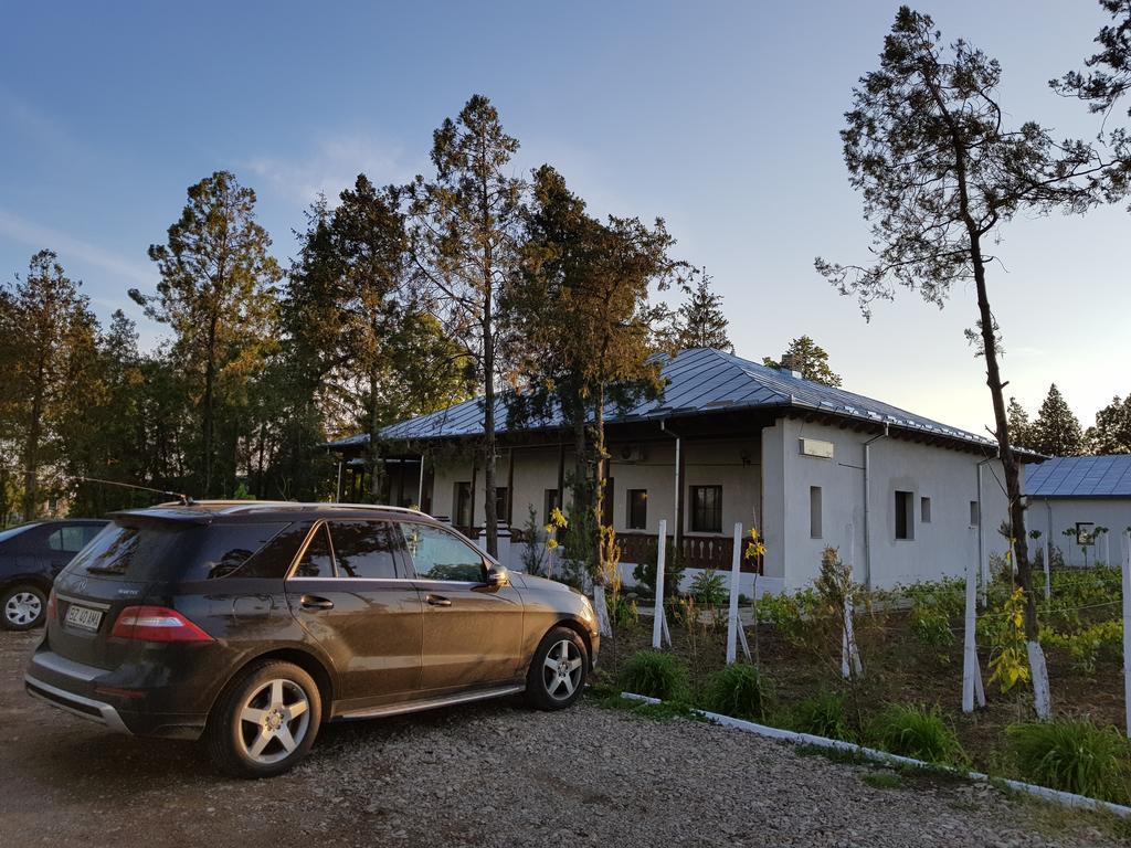 Hotel Conacul Balta Albă Exteriér fotografie